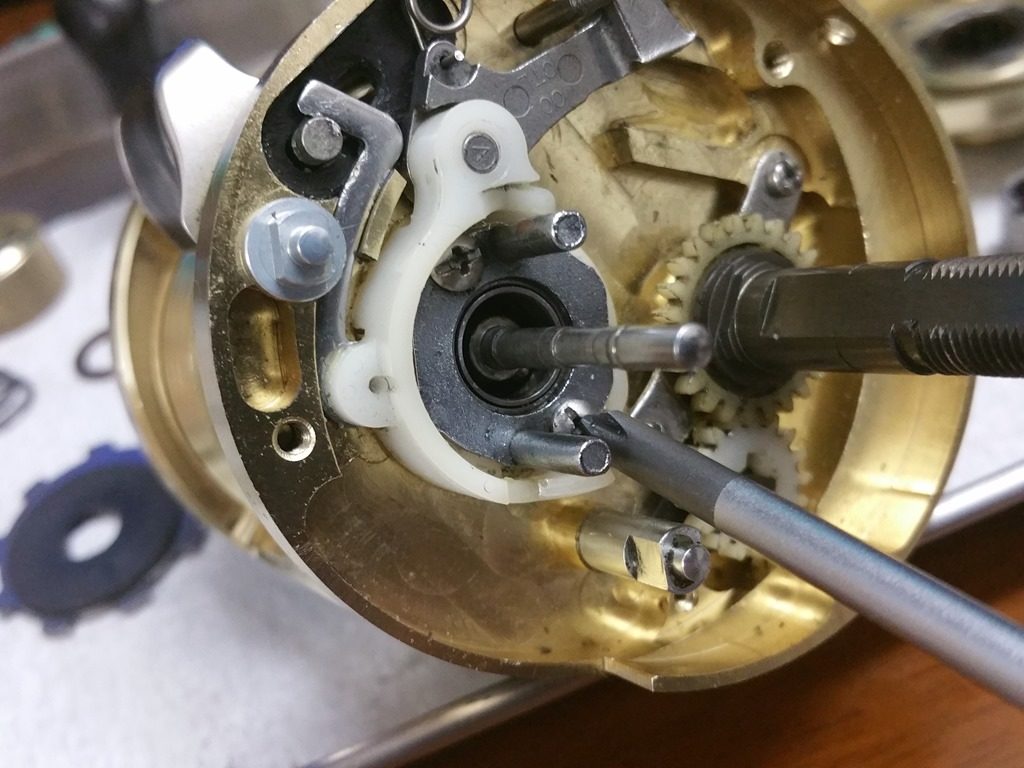 SHIMANO01calcutta conquest101-6