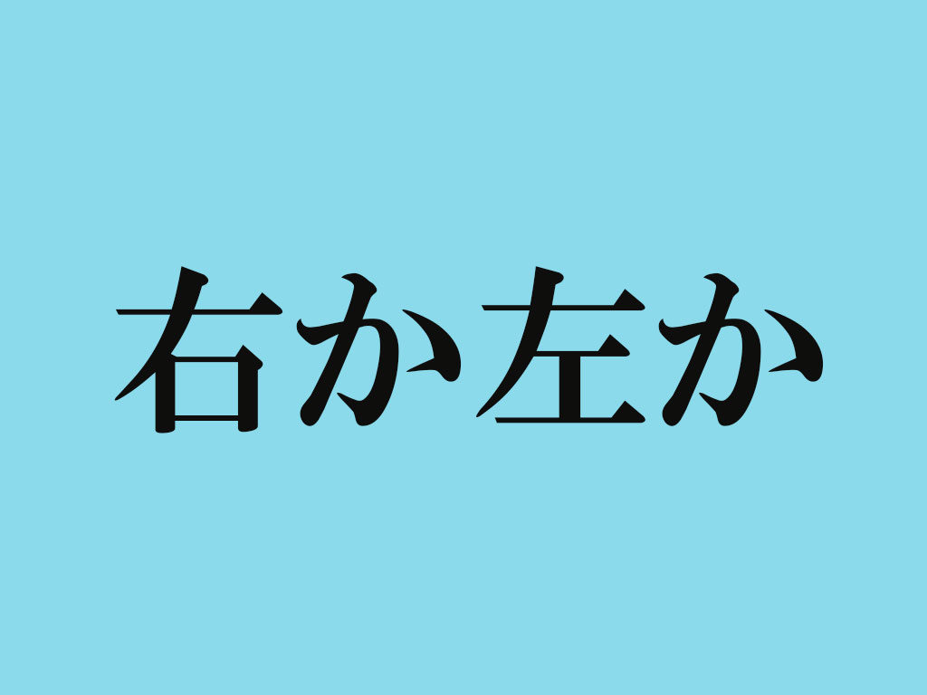 ベイトリールのハンドルは左右どちらが最強か カケヅカ Kakedzuka