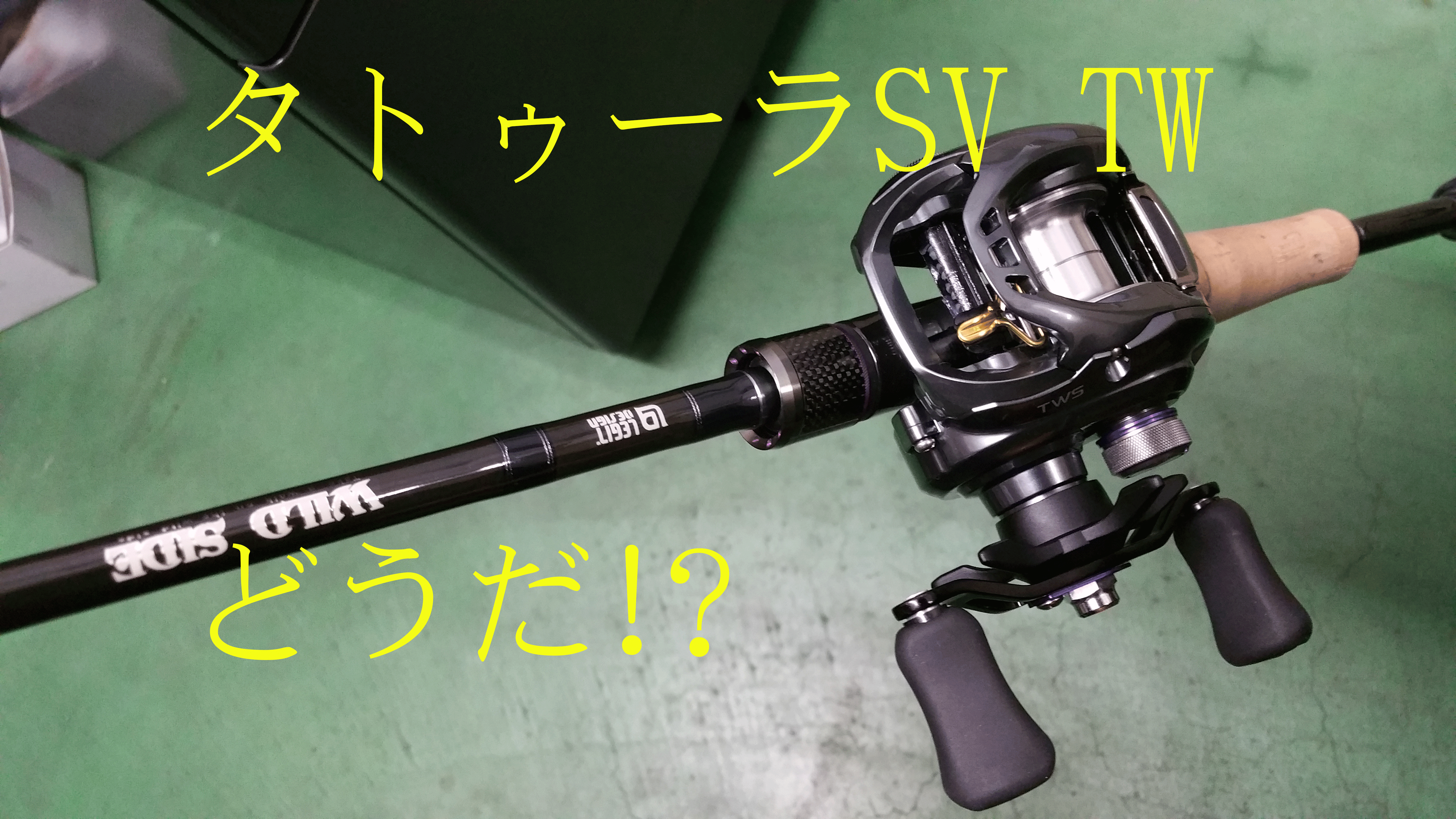 ダイワ タトゥーラSV TW 8.1-