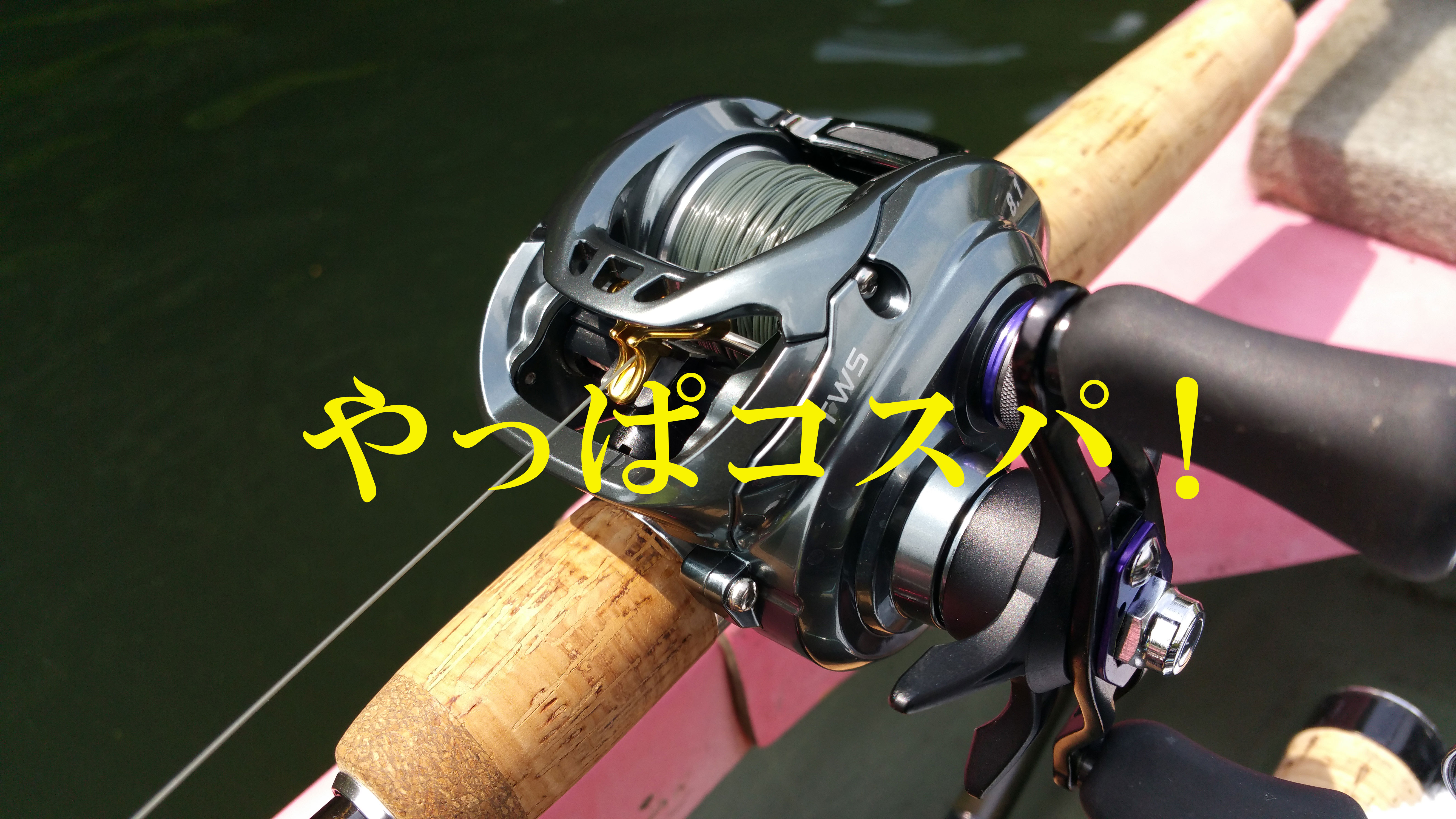 30％割引【時間指定不可】 ダイワ タトゥーラ TW 100 SHL DAIWA 左ハンドル バス釣り リール フィッシング-OTA.ON