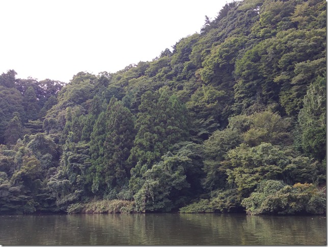 chiba-lake-kameyama2 chiba-lake-kameyama2