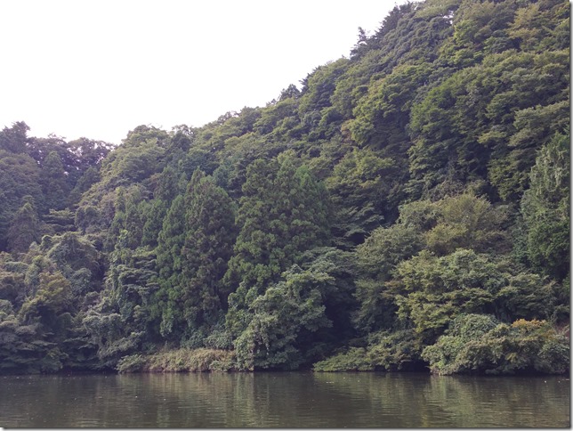 chiba-lake-kameyama2