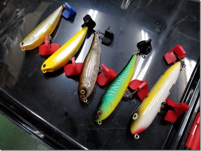 Top water lure